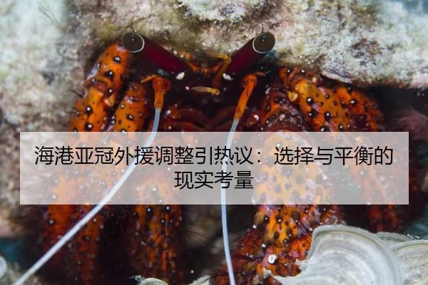 hai-gang-ya-guan-wai-yuan-tiao-zheng-yin-re-yi-xuan-ze-yu-ping-heng-de-xian-shi-kao-liang-2-168.jpg